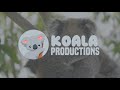Koala Productions Formally Koala Enterprises Logo History But Is Edited