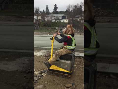 Why road construction takes so long