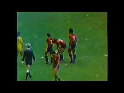 Tigres Campeón 1981-82