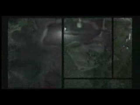 Tenchu Wrath of Heavens - Sadame