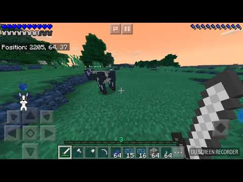 Hunting for Boss Steve