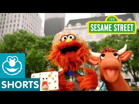 Sesame Street: Old MacMurray Had A Farm