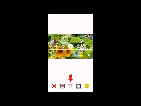 TikCrop