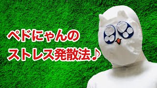雑巾に、嫌いな奴の名前を刺繍しちゃおうにゃん♪
