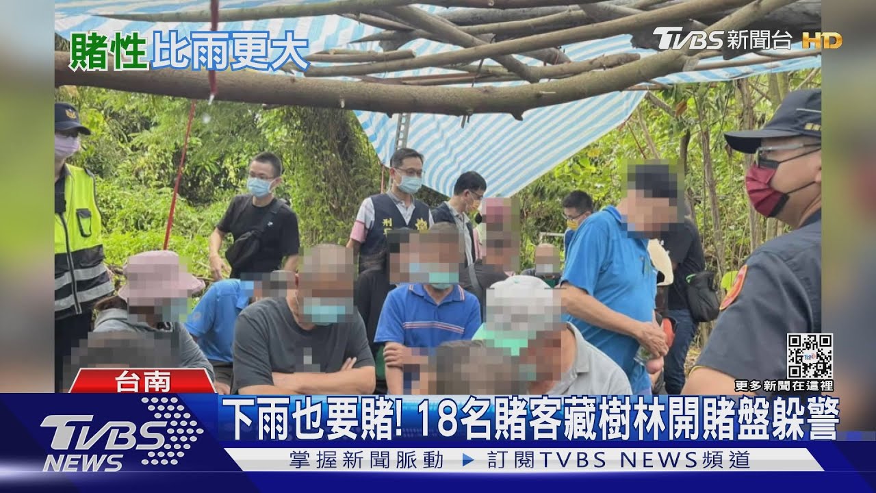 下雨也要賭！　18名賭客藏樹林開賭盤躲警