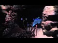Seas With Nemo And Friends Complete Ride Through