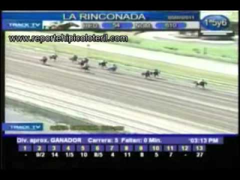 Resumen Martes 5 de Julio 2011-- La Rinconada