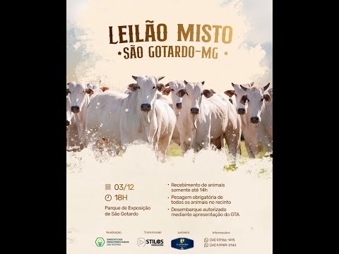LEILÃO GADO DE CORTE 03/12/2025 - SINDICATO RURAL DE SÃO GOTARDO-MG