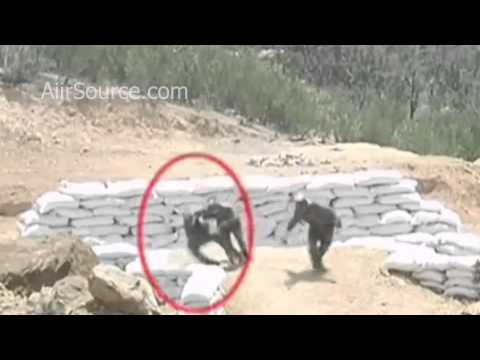 Female Chinese Soldier Hand Grenade Training FAIL  AiirSource