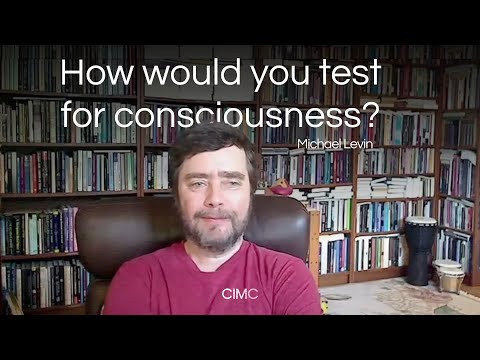 Thumbnail for What defines the essence of consciousness?