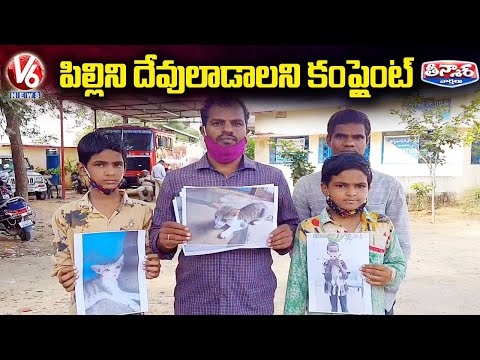 పిల్లిని దేవులాడాలని కంప్లైంట్ | Man Lodges Complaint Of His Cat's Missing | V6 Teenmaar News