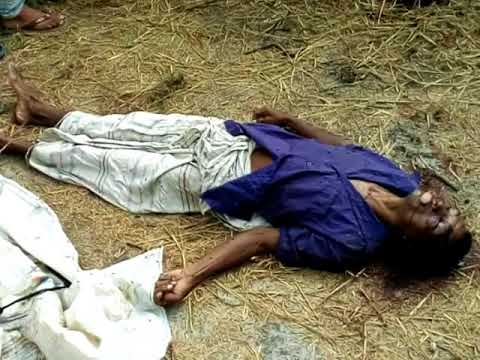 নারায়ণগঞ্জের সোনারগাঁয়ে নৈশ প্রহরী খুন। ০২.০৬.২০১৮।