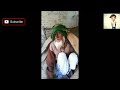 Main Duniya Se Chala Jao Chala Ja Bhosdi Ke Video Funny New Funny Meme Video Varal MEMS RajTechno