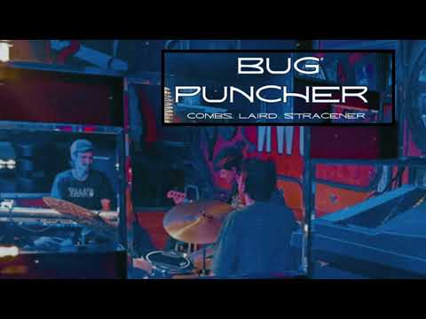 Bug Puncher 1