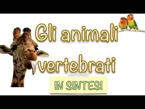 Vertebrate animals in brief