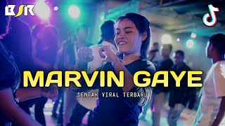 Download lagu DJ MARVIN GAYE - PARTY SENTAK -_Papa Adung_- REMIX mp3