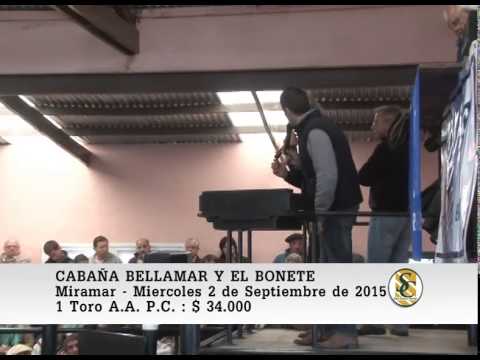 02-09-15 Ventas de Toros P.C. - Cabaña Bellamar y El Bonete - Miramar.