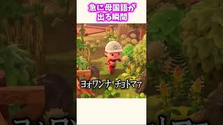 急に異国語で喋る配信者ww #あつ森
