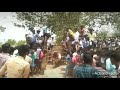 வளதாடிப்பட்டி மாரியப்பன் மாடு
