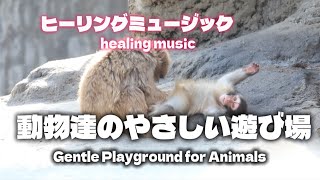 【4分間のヒーリングミュージック】動物たちのやさしい遊び場　【4minutes of healing music】Gentle Playtime for Animals