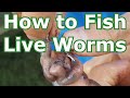 How to Fish with Live Worms: Setup - Hooking, Tips - Lakes, Rivers, Creeks, Ponds