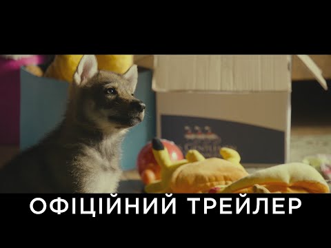 Трейлер Мій вовк
