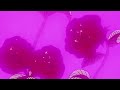 Doja Cat Ft Sza Kiss Me More Slowed And Reverb