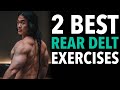 How to Build BIGGER Rear Delts for Perfect Shoulder Symmetry