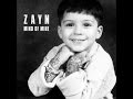 It S You Zayn Malik Bathroom Live Cover