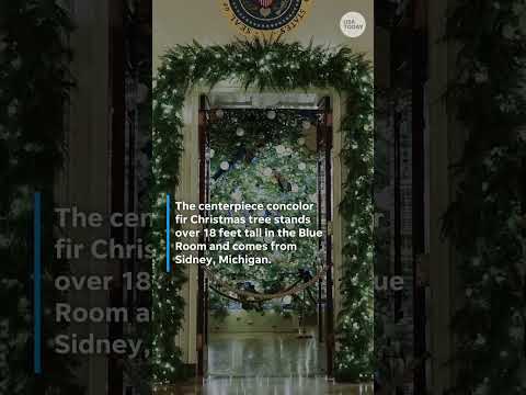 Melania Trump's White House Christmas decor includes Lego, 51 trees