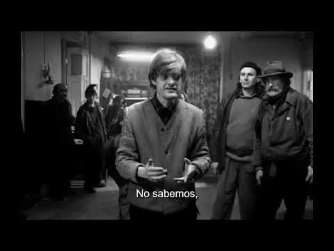 Ver vídeo