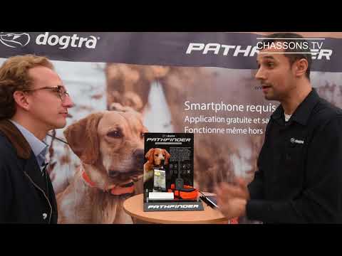 download lagu mp3 mp4 Collier Dressage Dogtra, download lagu Collier Dressage Dogtra gratis, unduh video klip Collier Dressage Dogtra