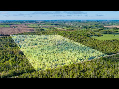 Realvideotour.ca - Lot 3 Black School Rd, Woodville, ON - Vacant Land Video Tour