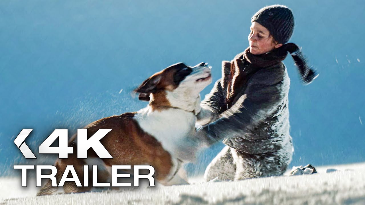 Mein Freund Barry Trailer