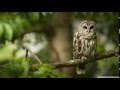 Save a Little Prayer - Steen Thottrup feat Annette ...
