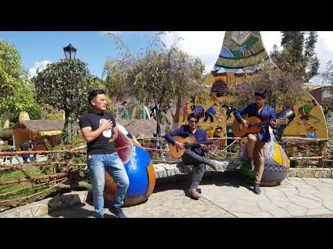 Somos Del Ande - Tarde te valoré ( acústico )