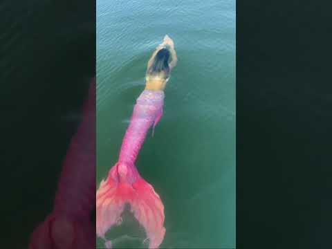 Jalpari #mermaid #jalpari #shorts