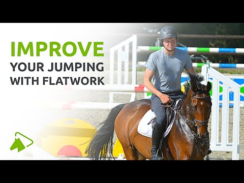 How Flatwork Exercises Improve Your Show Jumping | wehorse