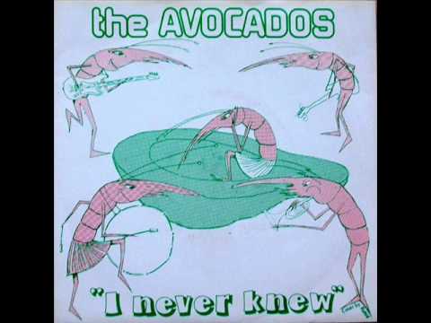 I Never Knew - The Avocados