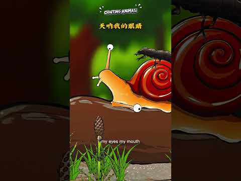 Firefly Injects Enzymes?! Looks Like Jelly 😂