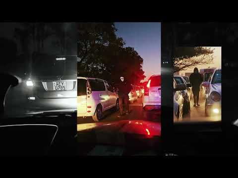 tha bees - chidembo  ( visualizer)