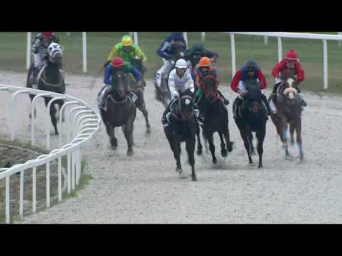 2020.11.15. 08. futam - GIZELLA MAJOR HENDIKEP (V/b.) (szintetikus pálya)