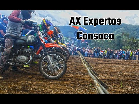 Consaca AX Expertos Valida departamental