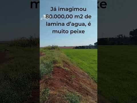 Imperdível! Área Rural de 5 Alqueires Paulistas à Venda em Terra Roxa - PR