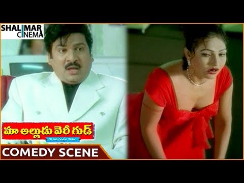 Maa Alludu Very Good Movie || Rajendra Prasad & Ramya Sri Superb Comedy Scene || Naresh || Shalimar