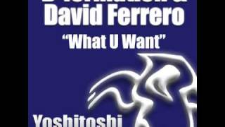 D-Formation & David Ferrero - What U Want