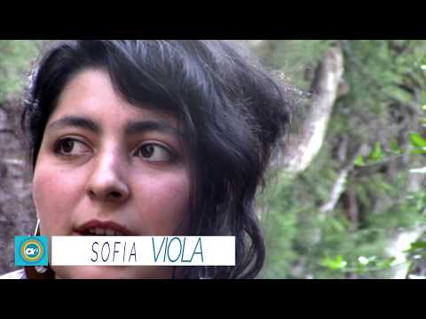 Sofia Viola (Arte&cultura)
