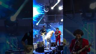 Steve Poltz - Take A Walk On The Wild Side LIVE Clip - Devon's Disco - Cayamo 17 (Mar 3, 2025)