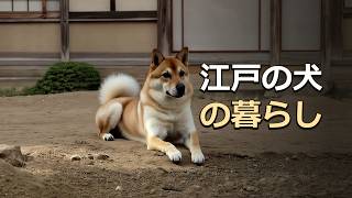 江戸時代の犬は、人とどう暮らしていた？｜AIで再現
