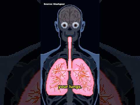 Can submarine sonar kill you?  🔊🤿